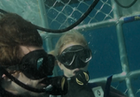 Фильм Над глубиной: Хроника выживания / Cage Dive (2017) - cцена 2