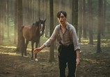 Фильм Угоняя лошадей / Ut og stjæle hester (2019) - cцена 4