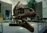 ТВ BBC. Аттенборо и гигантский динозавр / Attenborough and the Giant Dinosaur (2016) - cцена 6