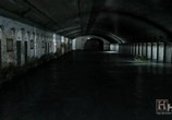 ТВ Будущее планеты: Жизнь после людей / Life After People (2008) - cцена 2