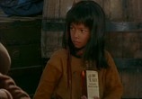 Сериал Доктор Куин: Женщина-врач / Dr. Quinn, Medicine Woman (1993) - cцена 1