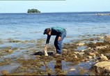 ТВ History Channel: Проклятие острова Оук / The Curse of Oak Island (2014) - cцена 9