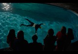 Сериал Добро пожаловать в семью / Benvinguts a la família (2018) - cцена 2