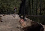 Сериал Инцидент / El incidente (2017) - cцена 3