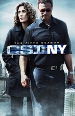 Место преступления: Нью-Йорк / CSI: NY (2004)