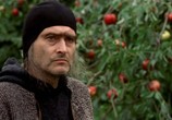 Сериал Ведьмак / Wiedzmin (2002) - cцена 3