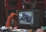 Сериал Мохнатики / Fur TV (2010) - cцена 2