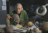 ТВ Discovery: Разоблачение динозавров / Dinosaurs decoded (2010) - cцена 2