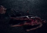 Фильм Странная ночь / Night of Something Strange (2016) - cцена 6