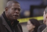 Сериал Мыслить как преступник: Поведение подозреваемого / Criminal Minds: Suspect Behavior (2011) - cцена 2