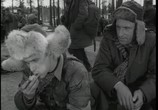 Сериал Четыре танкиста и собака / Czterej pancerni i pies (1966) - cцена 2