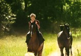 Фильм Угоняя лошадей / Ut og stjæle hester (2019) - cцена 2