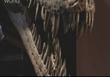 ТВ Discovery: Разоблачение динозавров / Dinosaurs decoded (2010) - cцена 3