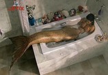 Сериал Н2О: Просто Добавь Воды / H2O: Just add water (2006) - cцена 4