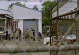 Сериал Байкеры: Братья по оружию / Bikie Wars: Brothers in Arms (2012) - cцена 3