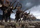 Фильм Властелин Колец: Возвращение Короля / The Lord of the Rings: The Return of the King (2004) - cцена 6