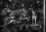Сериал Четыре танкиста и собака / Czterej pancerni i pies (1966) - cцена 1