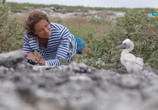 Сцена из фильма Фридайвинг на Большом Барьерном рифе / Ultimate Freedive: The Great Barrier Reef (2016) Фридайвинг на Большом Барьерном рифе сцена 9