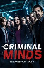 Мыслить как преступник / Criminal Minds (2005)