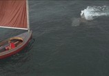 Фильм Челюсти 2 / Jaws 2 (1978) - cцена 1