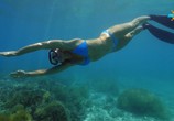 Сцена из фильма Фридайвинг на Большом Барьерном рифе / Ultimate Freedive: The Great Barrier Reef (2016) Фридайвинг на Большом Барьерном рифе сцена 7